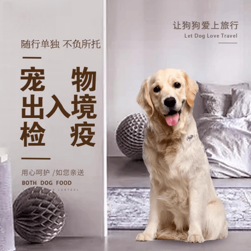 澳门宠物托运到哥伦比亚猫狗宠物入境规定和
