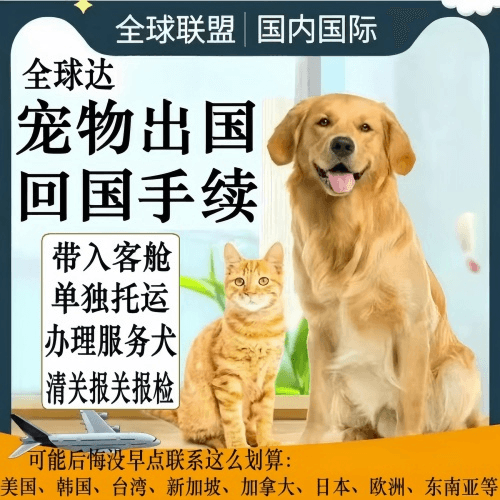 澳门宠物托运到柬埔寨宠物入境规定和要求