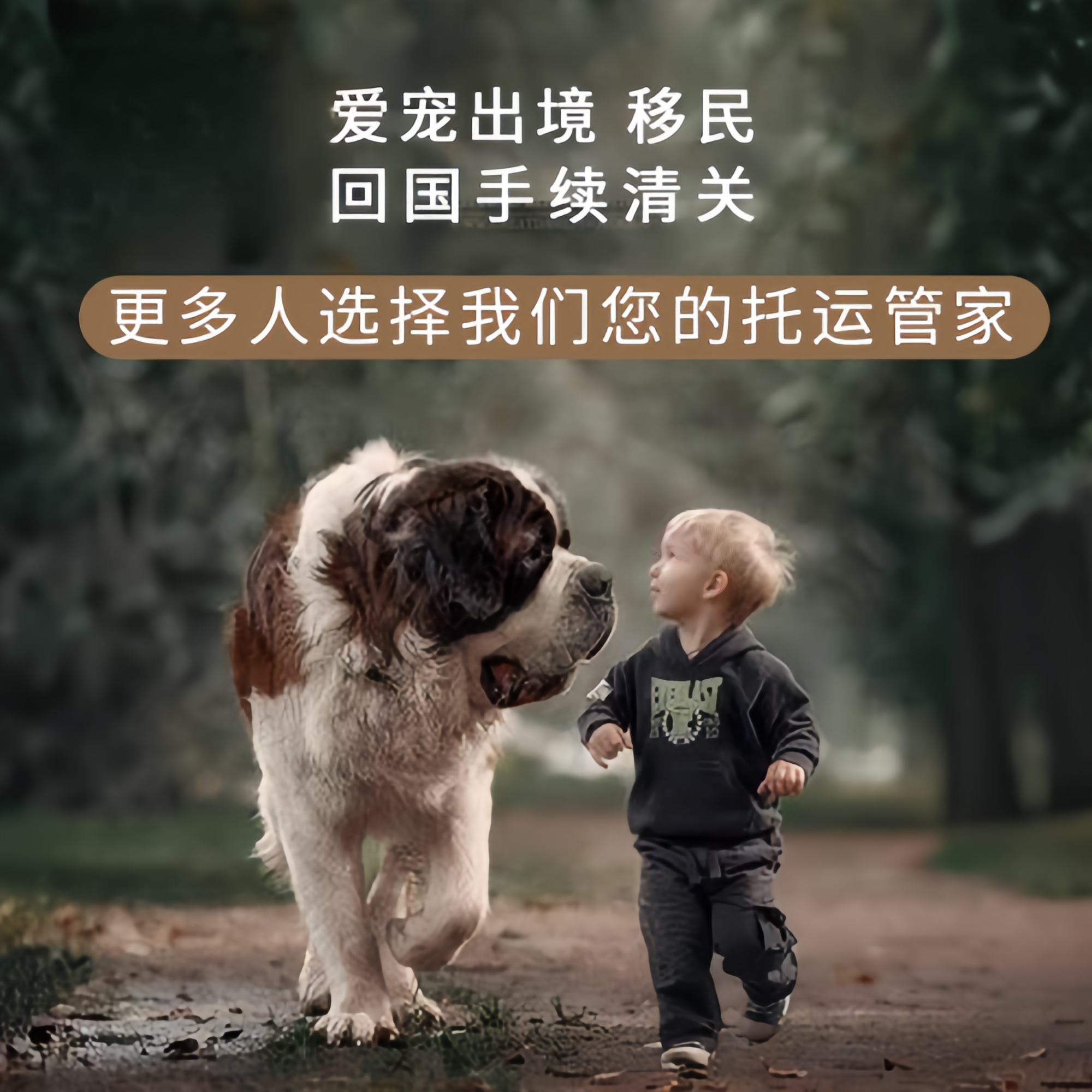 满财澳门宠物全球达宠物托运在遵守入境目的地政策的条件