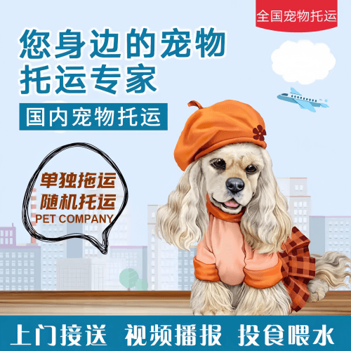 满财澳门宠物全球达宠物托运作为专业的宠物运输代理机构